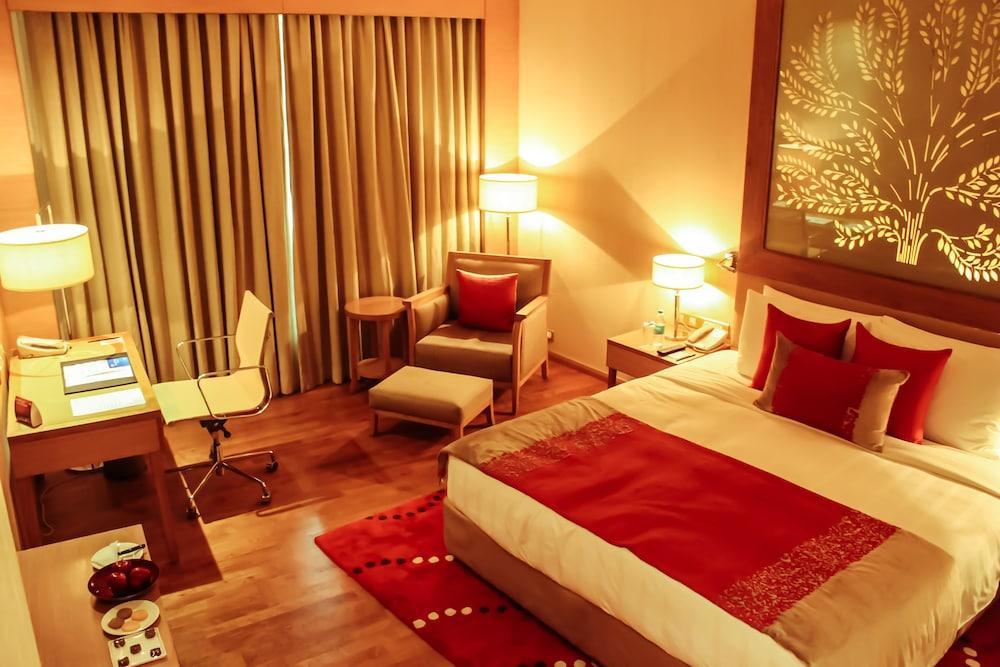 Radisson Blu New Dwarka Hotel Delhi (National Capital Territory of India)